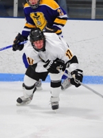 Ice Hockey Edged by Western New England