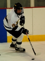 Ice Hockey Downed by Westfield State