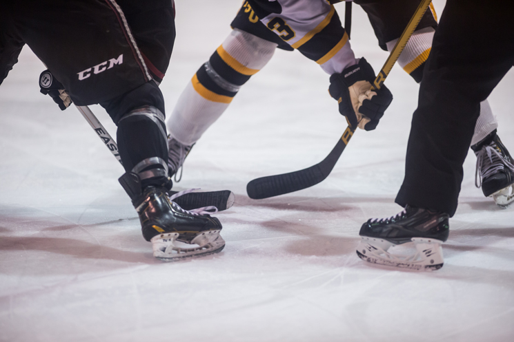 Worcester State Bests Men&rsquo;s Ice Hockey; 4-1