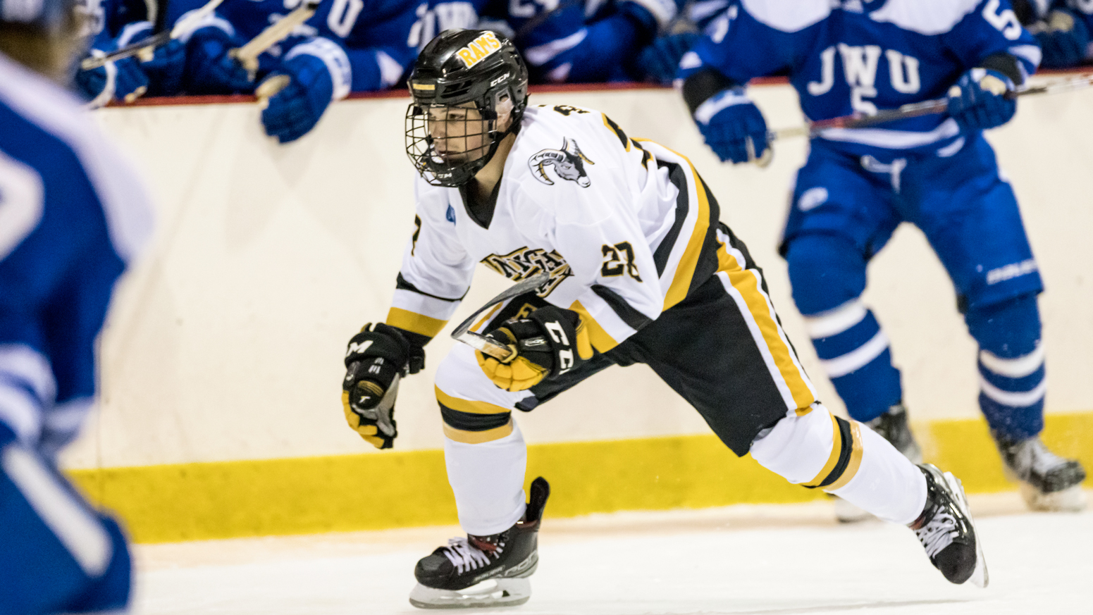 Big First Period Sends Salem State Past Ice Hockey