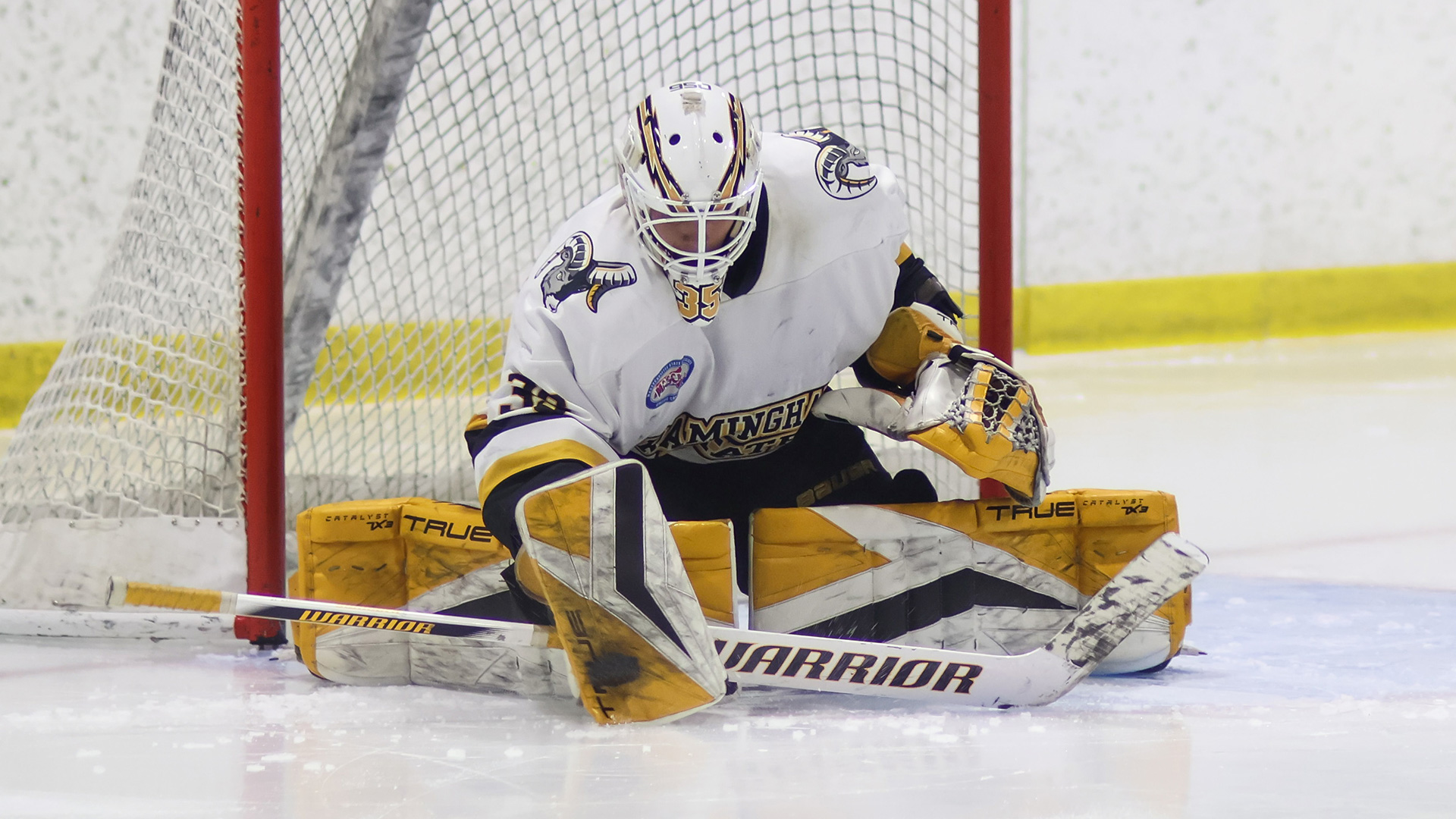 Men's Ice Hockey Downed at Salem State