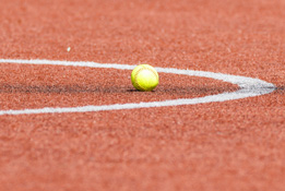 Softball Falls to Salisbury in Opening Round of NCAA Tournament