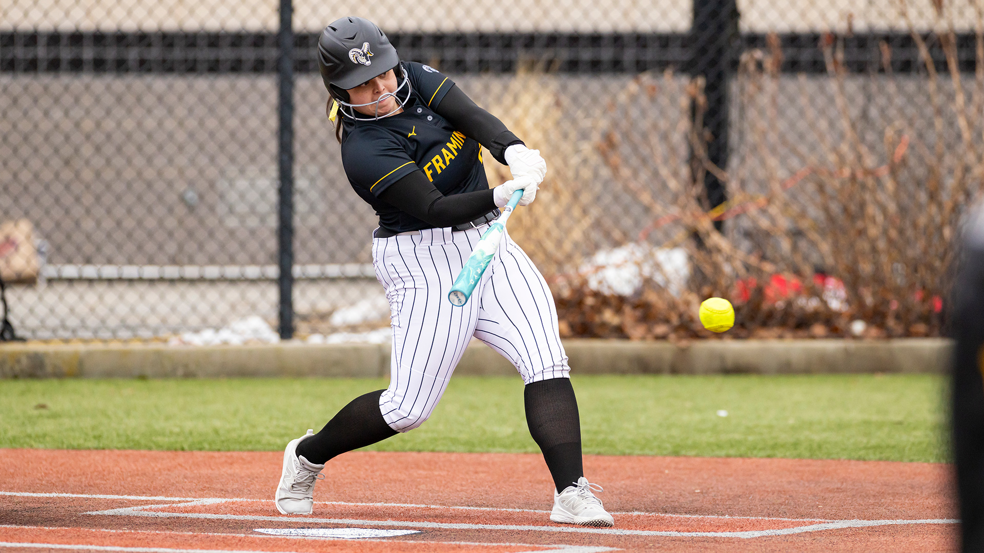 Softball Splits Doubleheader with Nichols