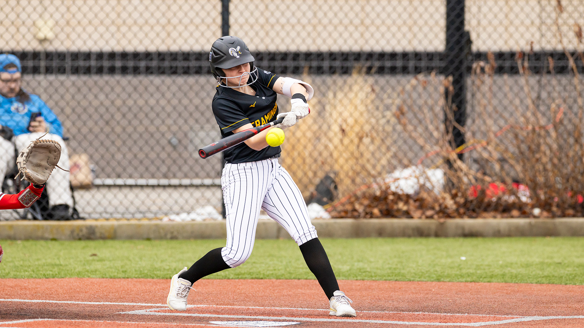 Softball Splits Doubleheader with Clark