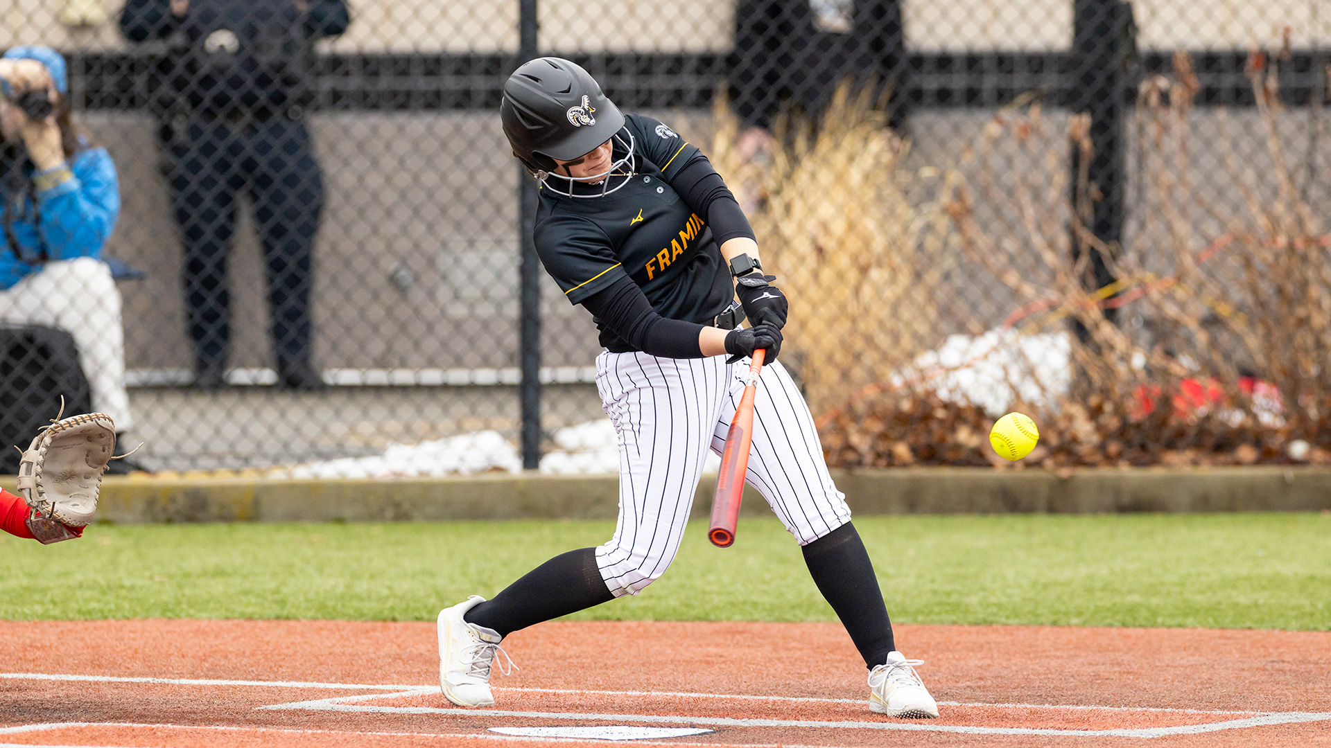 Softball Walks Off with Game Two in Split with Bridgewater State