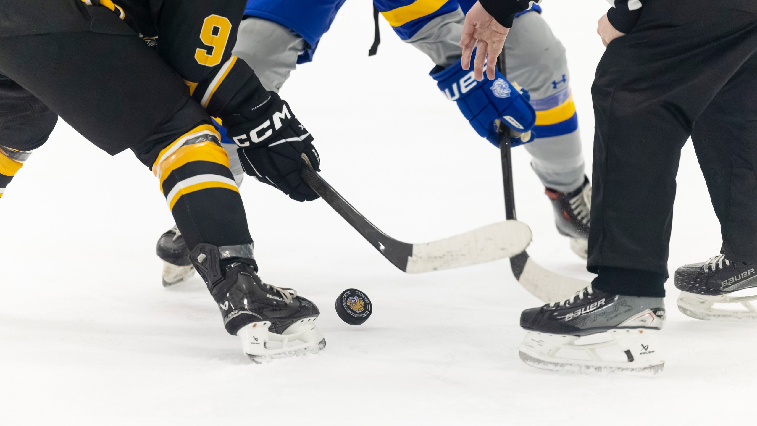Women&rsquo;s Ice Hockey Drops Opening Round of MASCAC Tournament