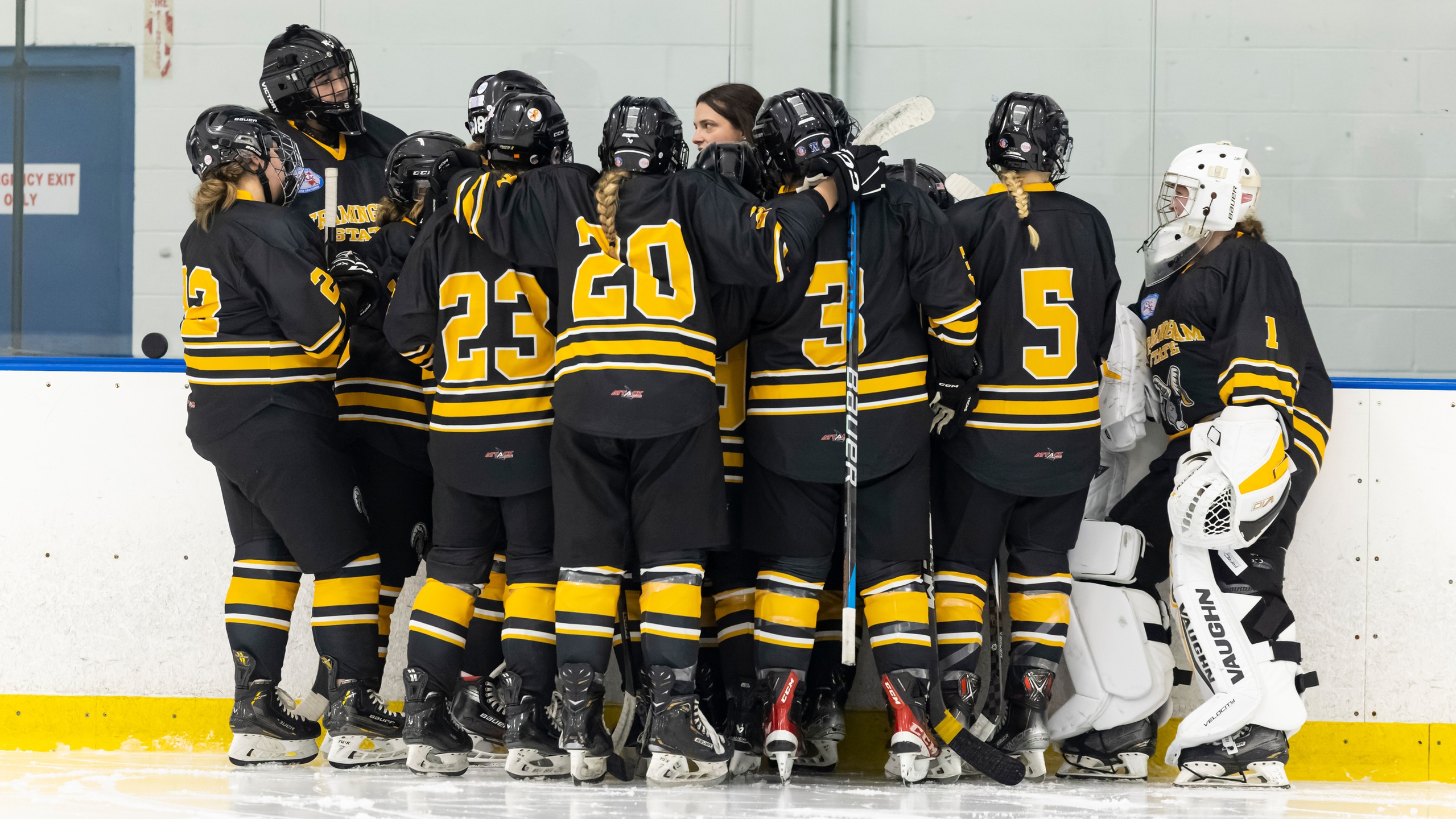 Women's Ice Hockey Falls to Conference Leader Plymouth State