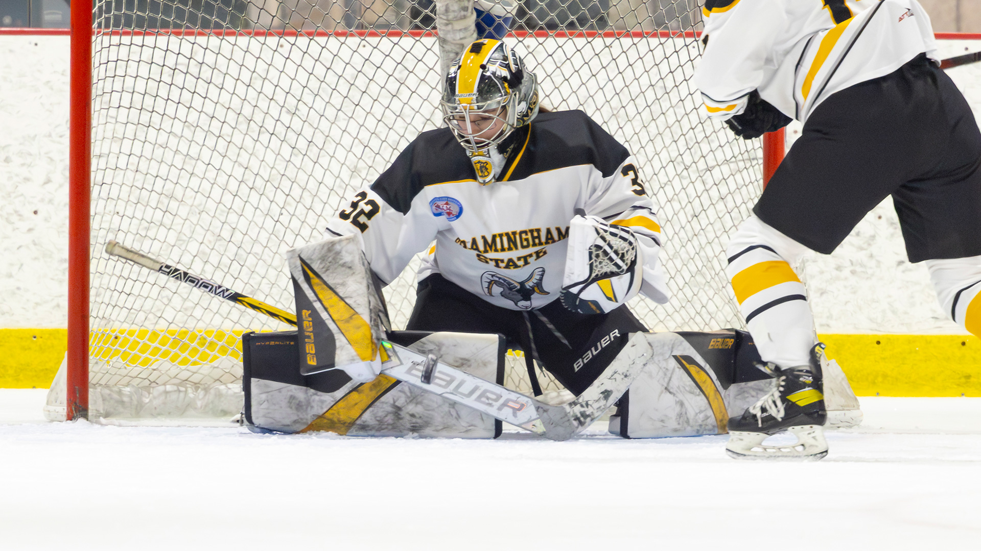 Women&rsquo;s Ice Hockey Falls 3-2 at Salve Regina