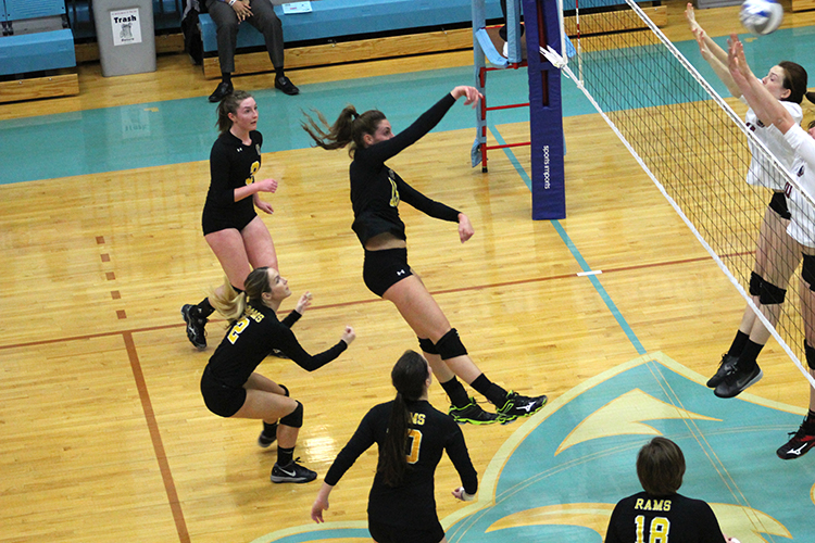 Volleyball Falls to MIT in Opening Round of NCAA Tournament