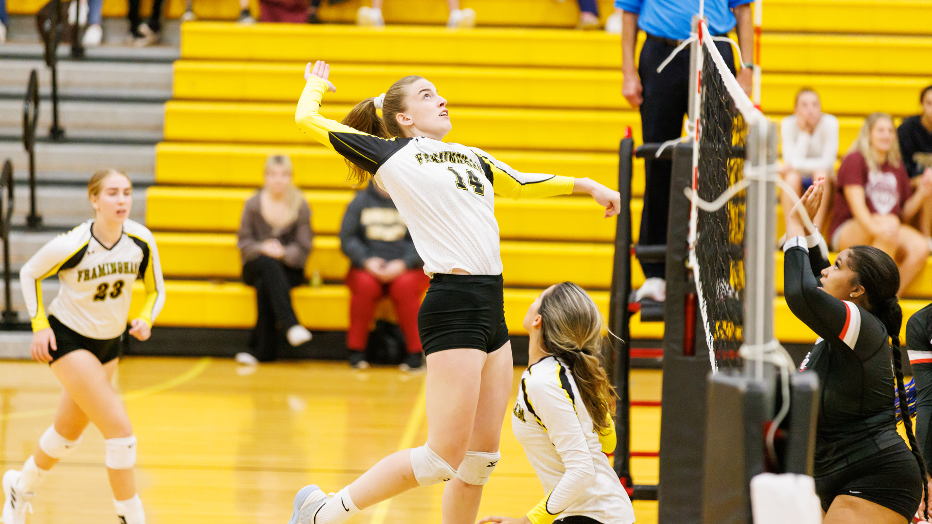 Sanders Named MASCAC Volleyball Player of the Week
