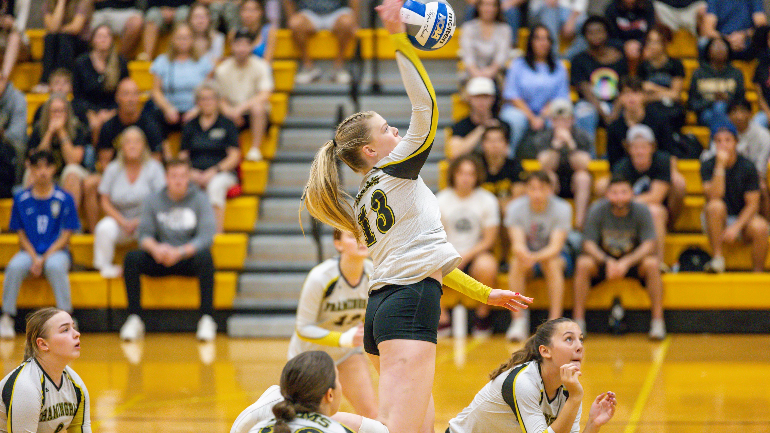 Volleyball Closes Regular Season with 3-0 Victory over Salem State