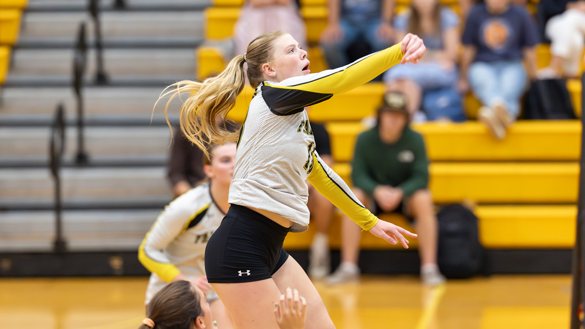 Volleyball Sails Past New England College 3-1